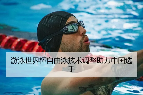 游泳世界杯自由泳技术调整助力中国选手